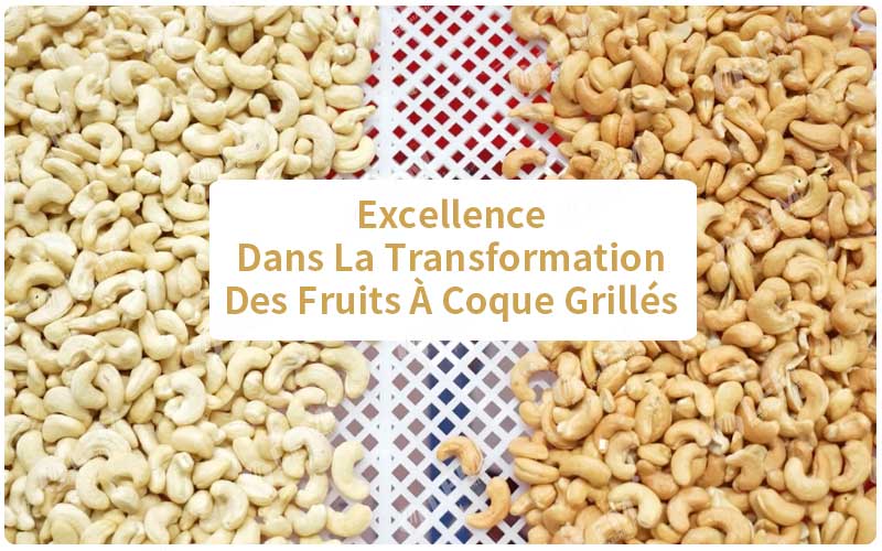 Excellence Dans La Transformation Des Fruits À Coque Grillés
