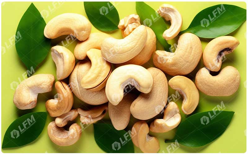 Les 7 Bienfaits Des Noix De Cajou Pour La Santé