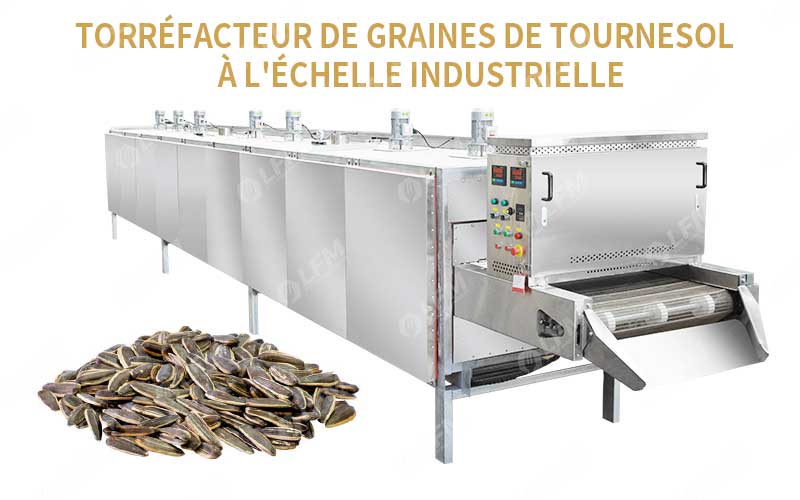 Caractéristiques Et Avantages De Ce Torréfacteur De Graines De Tournesol