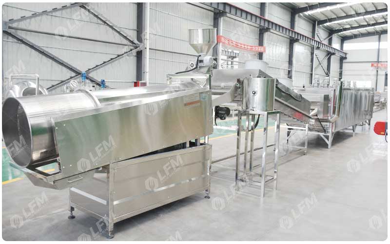 Chaîne De Production De Torréfaction D'Arachides Salées