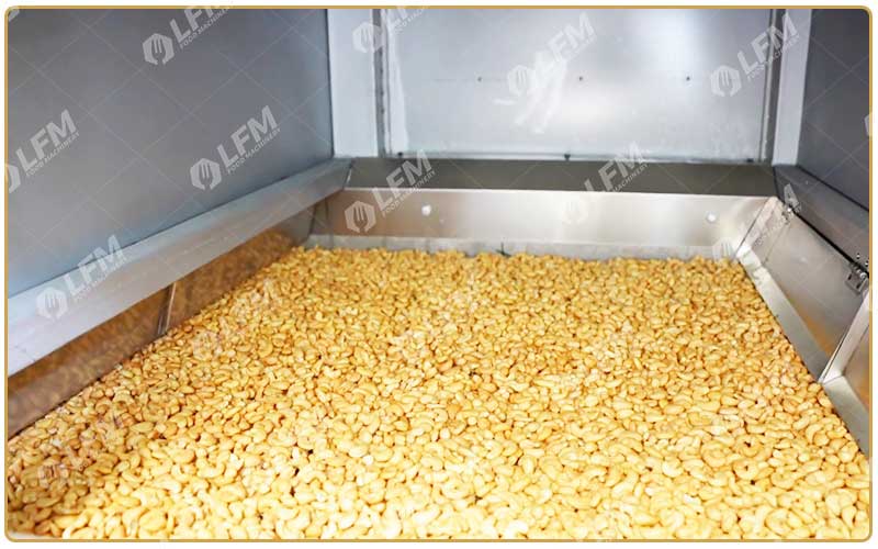 Usine De Transformation De Noix De Cajou Grillée En Côte D'Ivoire