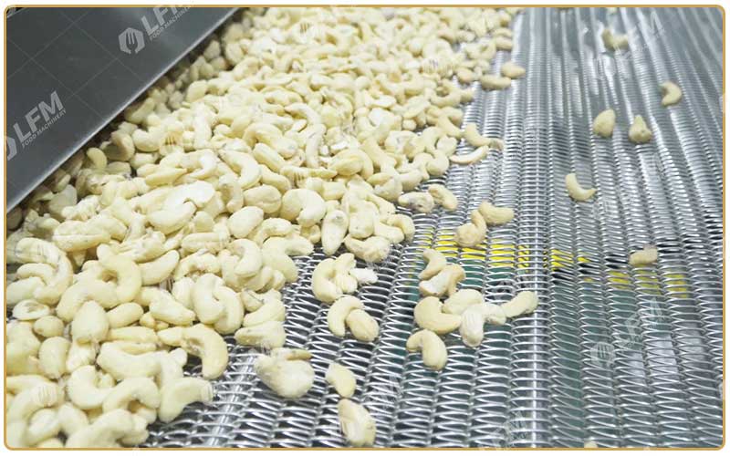 Usine De Transformation De Noix De Cajou