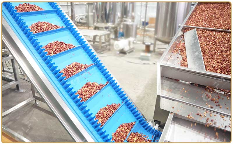 Processus Industriel De Fabrication Des Cacahuètes Grillées