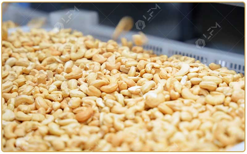 Comment Se Fait La Transformation De La Noix De Cajou