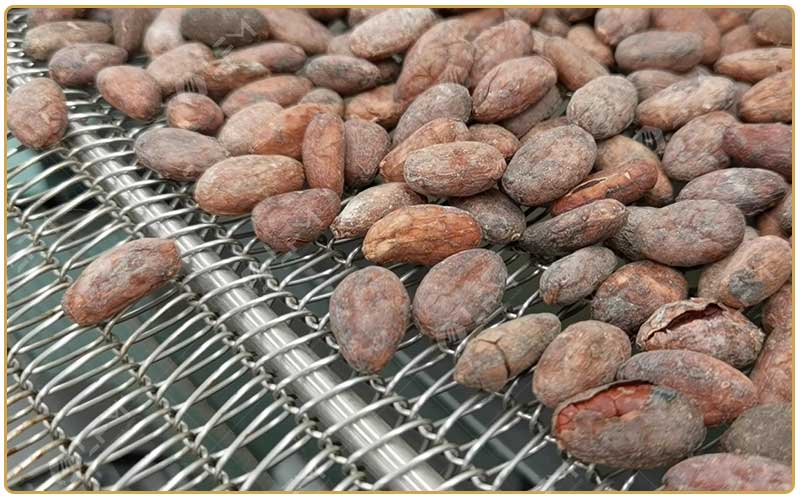 Pourquoi Torréfier Les Fèves De Cacao