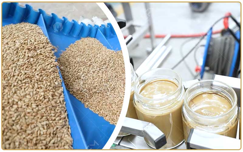 Processus De Production De Pâte De Graines De Tournesol